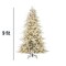 9ft Flocked Aspen Noble Fir Tree with 1,200 Micro LED Lights, White & Multicolor Options